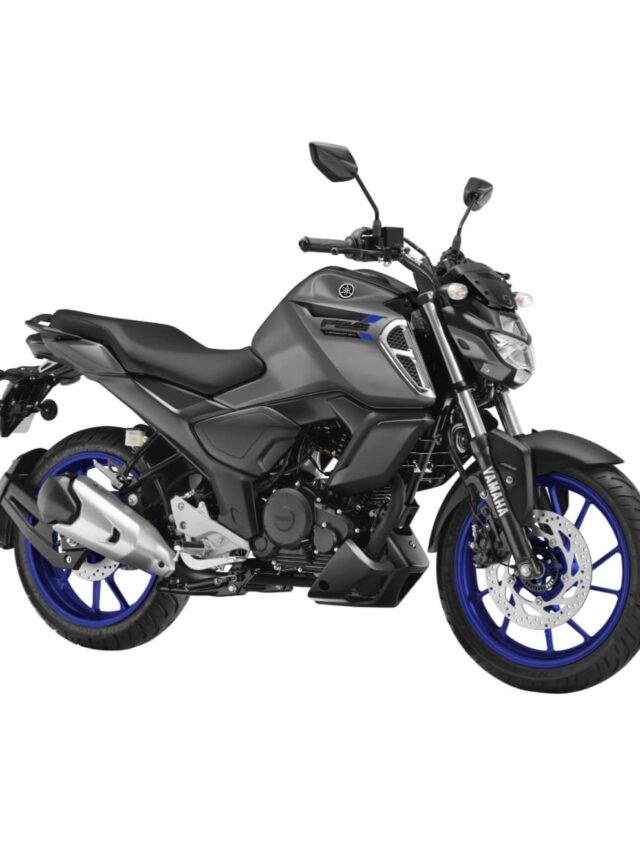 YAMAHA FZS